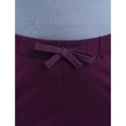 Icebreaker Crush II Pants Women - Nightshade -Icebreaker icebreaker womens crush ii pants nightshade 4 1498608