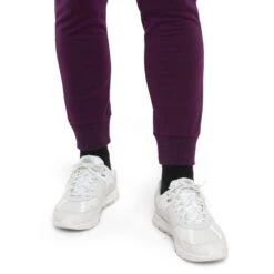 Icebreaker Crush II Pants Women - Nightshade -Icebreaker icebreaker womens crush ii pants nightshade 6 1498610