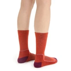 Icebreaker Hike+ Light Crew Socks Women - Vibrant Earth/Go Berry 8 Icebreaker Hike+ Light Crew Socks Women - Vibrant Earth/Go Berry -Icebreaker icebreaker womens hike plus light crew socks vibrant earth go berry 3 1381330