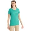 Icebreaker Tech Lite II Cadence Paths Short Sleeve Tee Women - Fresh -Icebreaker icebreaker womens tech lite ii cadence paths short sleeve tee fresh 3 1384600