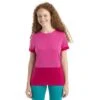 Icebreaker ZoneKnitâ„¢ Short Sleeve Tee Women - Tempo/Electron Pink 1 Icebreaker ZoneKnitâ„¢ Short Sleeve Tee Women - Tempo/Electron Pink -Icebreaker icebreaker womens zoneknit short sleeve tee tempo electron pink model 1 1499291